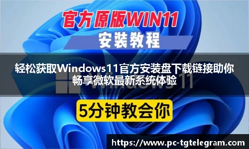 轻松获取Windows11官方安装盘下载链接助你畅享微软最新系统体验